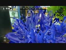 【味方回線落ち】詰め合わせ【没動画】Part91