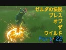 実況とはよべないゲームプレイ【のんびり冒険 ゼルダの伝説BotW】22