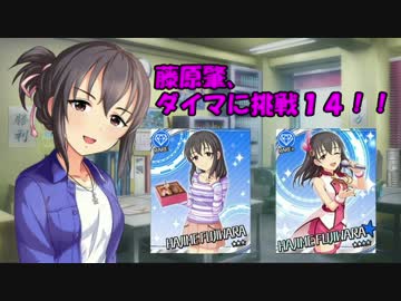 藤原肇、ダイマに挑戦１４！！