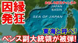 【韓国が発狂乱発】 中国の一部に続く第２弾！今度は日本海に脊髄反射！