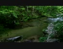 岡山県産の美味しい自家栽培米をご注文を受けてから精米、お届けします