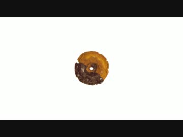 【オリジナルインスト】 Old Fashioned 【MV】