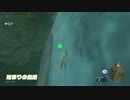冷たい水の滝のぼりで凍死してみた