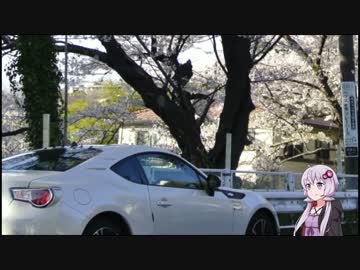 【86×結月ゆかり】桜の風景(伊豆と鎌倉)【番外編】