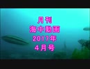 【月刊】海中動画★ゲスト→ボラ、アイナメなど【2017年 4月号】