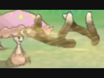 [ポケモンSM]ポケモン界を救うためのキノミストレート 32