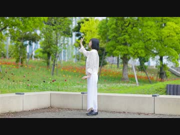 【まなこ】ハルイチ。　踊ってみた【オリジナル振付】