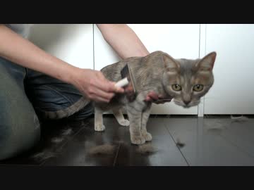 【モアクリ】 ヘアサロン・モフモフ