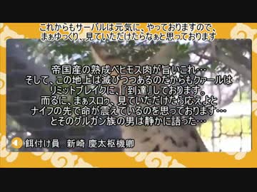 ノムリッシュしんざきおにいさん.tama