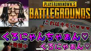 【PUBG】エロ可愛い声の女の子に欲情しまくる22歳独身【YG】