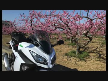 白ニンジャでまったりツーリング!!ほったらかし温泉篇