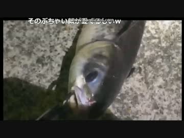 2017-04-25 生放送でボラ（本命）HITシーン　3/3