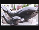 2017年04月26日 レトロ動物園・団地商店街・鉄塔 「東中神」 Part1