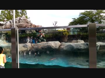 東武動物公園　ペンギントーク