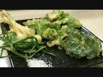 山菜摘んで天麩羅で食べようＺＥ！【オトナも遊ぼう】