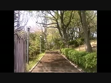 【音楽と景観】東京緑地#2　多摩川駅周辺