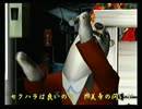 くまうた　（4531）「けしからん！二」　唄：嵐山クマ男（夫）