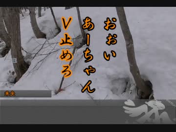 ポジパどうでしょう ＃2　札幌の夜景レポート 第二夜