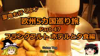 【ゆっくり】欧州５カ国巡り旅  47 フランクフルトホテル夕食編【旅行】