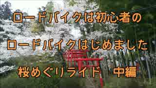 【初心者】桜めぐりライド 中編【ゆっくり】