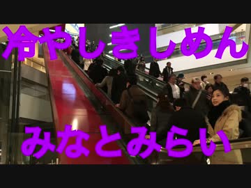 【合作】冷やしきしめんみなとみらい