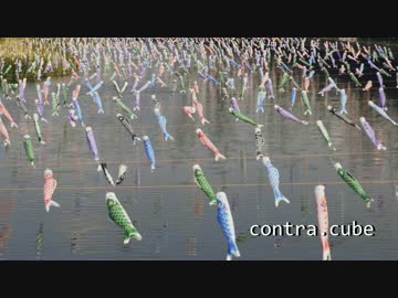 撮影した映像にLUTを当ててカラーグレーディングしてみた。