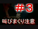 ビビりが実況する[アウトラスト２]-絶叫により音量注意!?-Outlast2