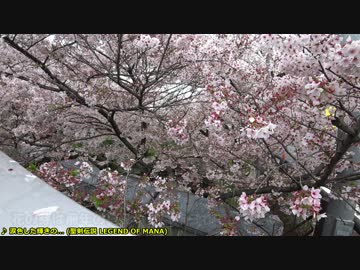 おバイク！【ゆっくり】千本桜