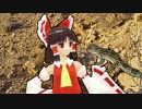 ハチュカス★
