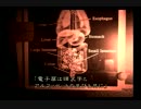 【協力実況】ガキの頃クリアできなかったから今やる【バイオ１】part34