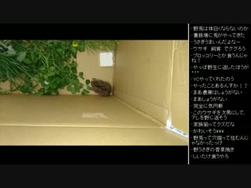 [2017.04.29]ひろくん 雑談 (1/6)