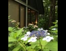 コブクロ【ここにしか咲かない花】歌ってみた