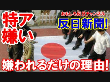 【ネトコメに嫌韓嫌中が氾濫】 嫌われるには理由がある！