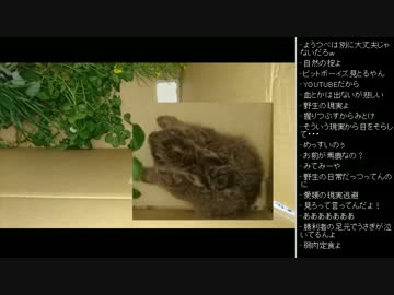 [2017.04.29]ひろくん 雑談 (2/6)