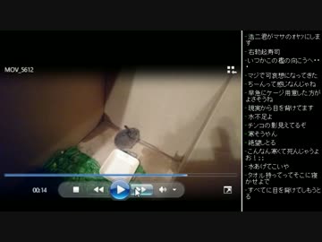 [2017.04.29]ひろくん 雑談 (3/6)