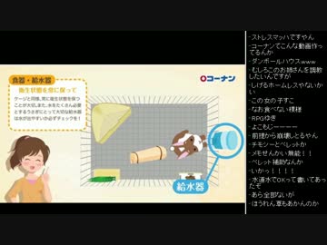 [2017.04.29]ひろくん 雑談 (5/6)