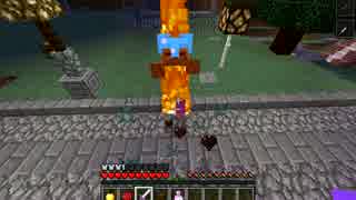 【minecraft】コマンドで遊んでみた