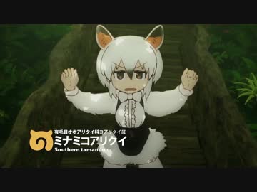 うごくミナミコアリクイ