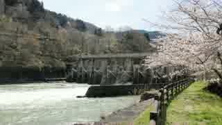 笹平ダムの桜（長野県長野市）