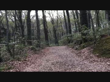 十二湖散策に行ってきました！