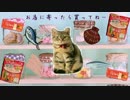 ちゅ~るライフ　出演 メリーちゃん