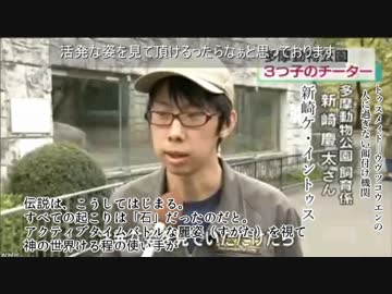 ノムリッシュ三つ子のチーター