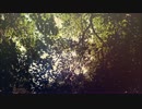 milk tea 【オリジナル曲】【結月ゆかり】