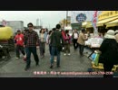 那珂湊おさかな市場！猫散歩