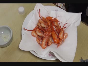 釣り動画ロマンを求めて 46釣目 六郷橋 付近 ニコニコ動画