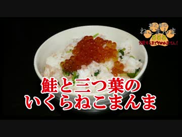 【おとなのねこまんま555】完食するまでやめれまてん！_Part005