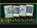【遊戯王ADS】覇王白竜オッドアイズ・ウィング・ドラゴン【YGOPRO】