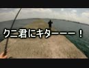 クルマで釣りに行こう♪ part 60 中編 【沖堤実釣編】