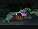 【4人視点】たぬきの狩猟生活 in MH3G Part-60