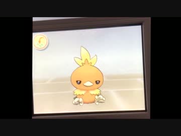 アチャモにポケマメをあげました。とても喜んでいます。